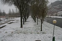 IMG_7518.JPG