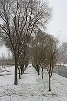 IMG_7519.JPG