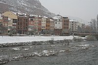 IMG_7524.JPG