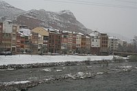 IMG_7525.JPG