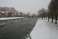 IMG_7526.JPG