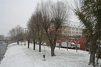 IMG_7527.JPG