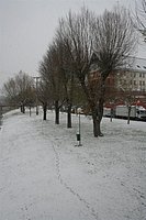 IMG_7528.JPG