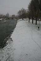 IMG_7529.JPG