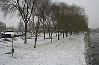 IMG_7531.JPG