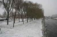 IMG_7532.JPG