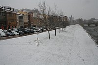 IMG_7538.JPG