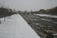IMG_7539.JPG