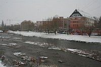 IMG_7542.JPG