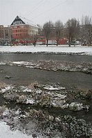IMG_7543.JPG