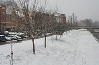 IMG_7545.JPG