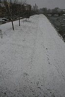 IMG_7546.JPG