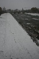IMG_7547.JPG
