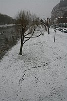 IMG_7549.JPG