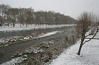 IMG_7550.JPG