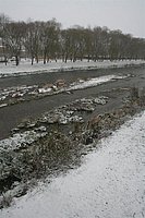 IMG_7551.JPG