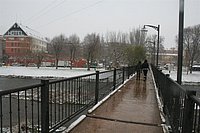 IMG_7554.JPG
