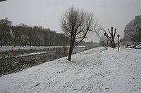 IMG_7555.JPG