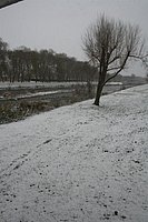 IMG_7556.JPG