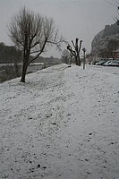IMG_7557.JPG