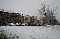 IMG_7559.JPG