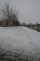 IMG_7560.JPG