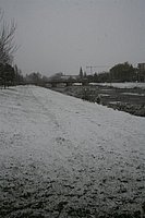 IMG_7561.JPG