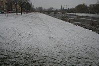 IMG_7562.JPG