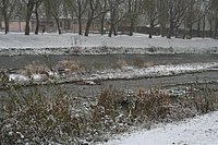 IMG_7564.JPG