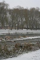 IMG_7565.JPG