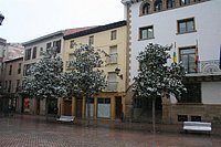 IMG_7574.JPG
