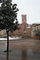 IMG_7586.JPG