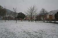 IMG_7588.JPG