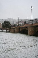 IMG_7590.JPG