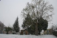 IMG_7592.JPG