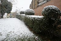 IMG_7593.JPG