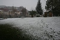 IMG_7594.JPG