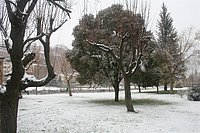 IMG_7607.JPG