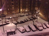21122009599 (Large).jpg