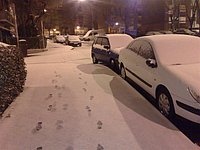 21122009604 (Large).jpg