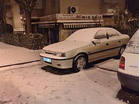 21122009608 (Large).jpg
