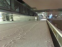 21122009626 (Large).jpg
