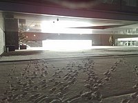 21122009627 (Large).jpg