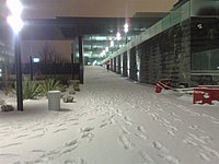 21122009629 (Large).jpg