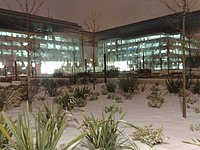 21122009631 (Large).jpg