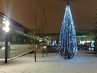 21122009633 (Large).jpg