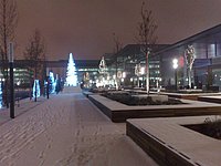 21122009634 (Large).jpg