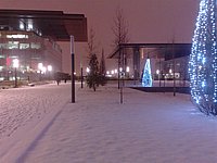 21122009640 (Large).jpg