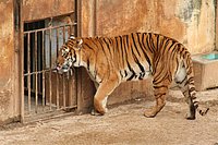 IMG_8380.JPG