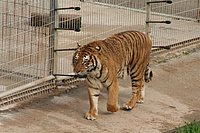 IMG_8383.JPG